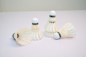 High Speed Class Goose Feather Tournament Shuttlecock Foamed Plastic Head 50g Lightweight 2 Layer Design Durable Stable Sport - Product Image 4