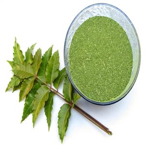 Poudre de feuilles de Neem de qualité alimentaire 99 %, séchée à l'air chaud, extrait végétal de qualité supérieure, durée de conservation de 2 ans, approvisionnement en vrac, poudre de Neem - Product Image 2