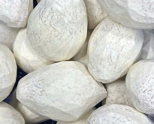 Fournisseur en gros de morceaux de taro vietnamien congelés et pelés - Product Image 2