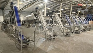 TTQ Cashew <b>Processing</b> Plant 50 Tons Per Day Auto Raw Cashew <b>Nut</b> Line White Kernel Food Grade SS Vietnam Manufacturer 380V 1-Year - Product Image 5