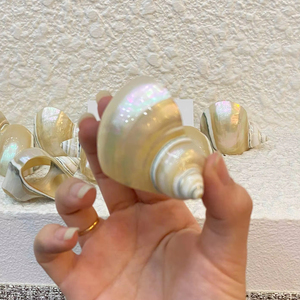 Anillo para Servilletas Hecho a Mano en Vietnam con Diseño de Caracol y Concha Marina, Porta Servilletas para Hotel, Banquete, Decoración de Mesa con Temática Oceánica - Product Image 1