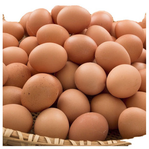 ไข่ไก่สดราคาถูกขายส่งจำนวนมาก ไข่ไก่สีน้ำตาลสดจากฟาร์มขายส่ง - Product Image 4
