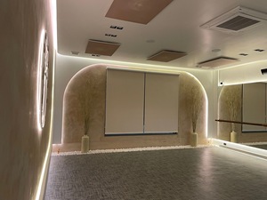 เครื่องทำความร้อนอินฟราเรดคาร์บอนคริสตัล 1000 วัตต์ สำหรับสตูดิโอโยคะ ใช้พลังงานไฟฟ้า/พลังงานแสงอาทิตย์ พร้อมระบบป้องกันความร้อนเกินพิกัด ดีไซน์ไร้กรอบ - Product Image 3