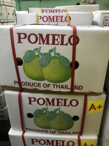 Sweet <strong>Pomelo</strong> 100% Fresh Natural Thai Fruit Wholesales Sweet Fruit Fresh Farm Best Seller From <strong>Thailand</strong> Export Grade - Product Image 5