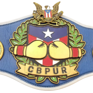 CBPUR <b>Boxing</b> Championship Belt Blue Leather Design with Golden <b>Boxing</b> Gloves and Puerto Rico Crest - Product Image 5