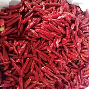 Chiles Habanero Deshidratados en Polvo de Primera Calidad, Congelados Individualmente (IQF), Partículas Enteras, Empaque a Granel, de Vietnam - Product Image 1