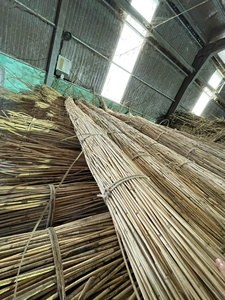 Poteaux en rotin naturel vietnamien, diamètre 47,21 mm, longueur 200 cm, marque 99GD, modèle Emma, pour meubles, artisanat, tissage, Quang Binh - Product Image 5
