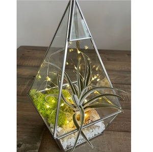 Terrarium en verre en forme de pyramide, écologique, mini-jardin féerique, support pour plantes aériennes pour la maison, vente en gros - Product Image 1