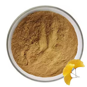 Poudre de feuilles de Ginkgo Biloba la plus vendue (OEM/ODM) pour la fonction cérébrale et la concentration, 100 % pure, provenant d'Inde - Product Image 2