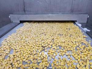 Mangues Congelées IQF en Cubes en Gros, Préservées dans du Sirop, du Vietnam, pour Smoothies et Desserts - Ms.Tarina - Product Image 6