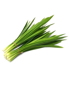 LAS HOJAS DE PANDAN NATURALES PROPORCIONAN UN SABOR DE ALTA CALIDAD A LOS POSTRES Y BEBIDAS A PRECIOS COMPETITIVOS PARA EXPORTACIÓN EN 2026. - Product Image 2