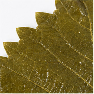 Special Offer Made In Vietnam Best Quality Delicious Hot Sale Brined Grape Leaves Packed in 30oz Can - Product Image 6