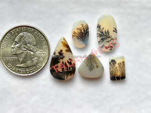 Natural escénico dendrita ágata piedra preciosa cabujón ágata rebanada cabujón piedra mejor calidad para la fabricación de joyas OEM disponible - Product Image 3