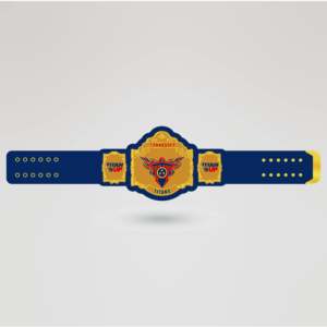 Sac de poitrine sportif avec sangle métallique, plaques dorées, ceinture de championnat de lutte personnalisée, quatre plaques latérales, détails complexes, lutte - Product Image 1