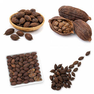 Big Sale Delicious Vietnam Manufacturer Supply Best Selling ISO Certificated Black Cardamom 25kg/bag - Product Image 2