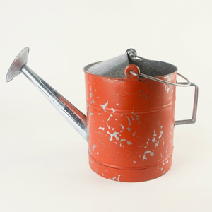Eco-Friendly Vintage Galvanized Steel Watering Can With Long Spout Rustic Decorative Iron Water <b>Cane</b> for Farmhouse <b>Garden</b> Decor - Product Image 1