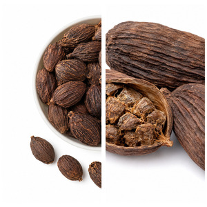 Delicious Low Price Best Selling Vietnam Manufacturer Supply Best Quality Black Cardamom Bulk Supply - Product Image 2