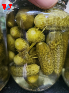 Natural Brine <b>Pickled</b> Gherkins: Crispy Baby Cucumbers in Bulk factory price/ Ms. Lima - Product Image 2