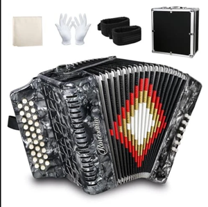 Accordéon diatonique professionnel 31 touches 12 basses FBbEb, accordéon à boutons 3 rangées, gris, soufflet hermétique - Product Image 2