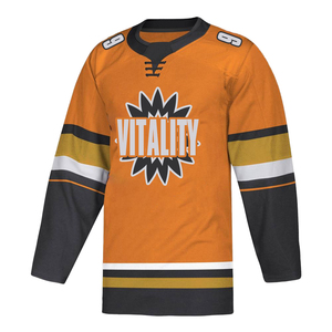 Maillot de hockey sur glace Vitality pour homme, manches longues, impression sublimée, polyester respirant, coupe classique, vêtements pour adultes - Product Image 2