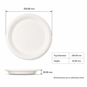 Assiette jetable en bagasse blanche de 10 pouces, robuste, biodégradable, compostable, compatible micro-ondes, pour les mariages et les plats à emporter - Product Image 4