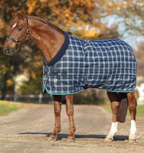 Alfombras de equitación de último diseño, cómodas y cálidas, con logotipo personalizado OEM, relleno de algodón, venta al por mayor, las mejores alfombras de invierno personalizadas - Product Image 3