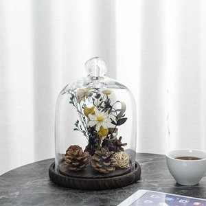 Cloche en verre ronde avec base en bois, fleurs séchées, cônes de pin, design minimaliste, dôme décoratif - Product Image 1