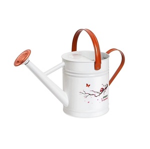 Brass Watering Can for Gardening Durable Painted Finish Indoor Outdoor Plant Care Stainless Steel Watering Can - Product Image 6