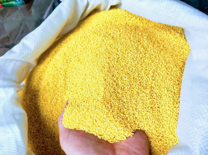 Mijo sin cáscara al por mayor para cereales de desayuno, panadería, procesamiento de alimentos sin gluten - Proveedor premium de Vietnam - Sra. Grace - Product Image 6