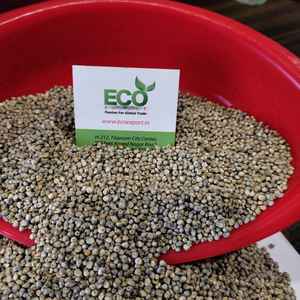 ลูกเดือยทั่วไป - Product Image 1