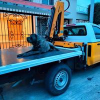 Mini-grue de levage hydraulique pour camionnette, 800 kg - 1000 kg, avec stabilisateurs, prix abordable, à vendre