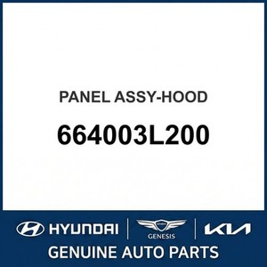 Paneles de Capó Nuevos para Grandeur/Azera 664003L200 - Product Image 1