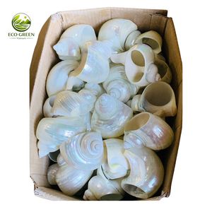 Wholesale Bulk Price Natural Seashell <b>Napkin</b> <b>Rings</b> Pearl Shell <b>Napkin</b> Holder For Catering Supplier Event Party Decoration - Product Image 6
