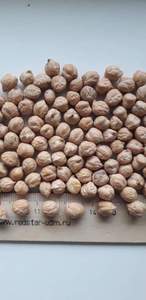 ถั่วชิกพีดิบธรรมชาติ เกรดดี ราคาถูก ขายส่ง ขนาด 9 มม. ยี่ห้อ CREKS บรรจุภัณฑ์แบบขายส่ง อายุการเก็บรักษา 3 ปี - Product Image 6