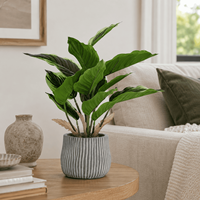 Plante artificielle de bonsaï réaliste résistante aux UV, en matériau TPE, pour la décoration de table intérieure