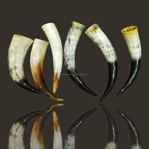 Corne à boire artisanale sud-africaine en corne de bœuf blanche, polie naturellement, style viking, au meilleur prix - Product Image 3
