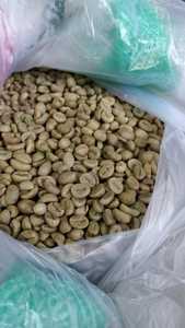 เมล็ดกาแฟอาราบิก้าออร์แกนิก เกรด 1 สกรีน 18 คั่วเขียว มีคาเฟอีน 100% คุณภาพสูง ความชื้น 12.5% จำหน่ายจำนวนมากสำหรับผู้คั่วกาแฟ - Product Image 6