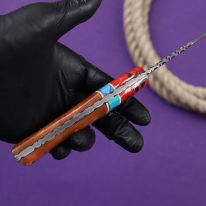 Cuchillo Bowie Hecho a Mano con Borde Biselado, Acero 1095, Espiga Completa, Mango de Resina, Funda de Cuero, para Caza, Camping, Personalizado, OEM, Táctico - Product Image 4