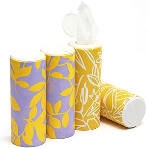 Premium Bamboo Facial <b>Tissue</b> <b>Paper</b> Cylinder Car <b>Tissue</b> Tube Portable Auto <b>Tissue</b> Supplier Manufacturer Virgin <b>Paper</b> 4 Ply - Product Image 1