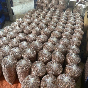 Noix de cajou bio du Vietnam, torréfiées à sec, saveur naturelle pure, qualité supérieure, vente en gros, prix d'usine, emballage personnalisé - Product Image 5