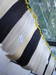 Extensiones de Cabello al Por Mayor NASA HAIR VIETNAM, Cabello Vietnamita Virgen de Doble Trama, Puntas Completas, Color Platino - Product Image 3