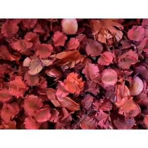 ดอกบุชวิลโลว์แห้งสีธรรมชาติ วัตถุดิบสำหรับทำพอตปูรี บรรจุถุง 1 กก. - Product Image 1