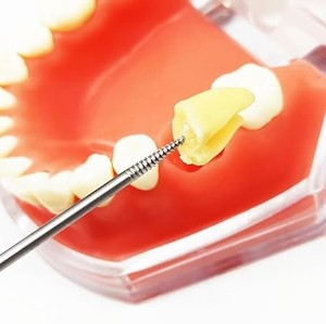 Juego de Instrumentos Quirúrgicos Manuales de Alta Calidad para Extracción Dental, para Uso en Clínicas y UCI, Venta Directa de Fábrica - Product Image 2