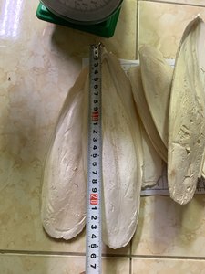 ผงแคลเซียมจากกระดูกสีน้ำตาลแดงสำหรับนก ขนาด 80-100 เมช สะอาด รับผลิตแบบ OEM แบรนด์ส่วนตัว สำหรับอุตสาหกรรมสัตว์เลี้ยงในยุโรป - Product Image 4