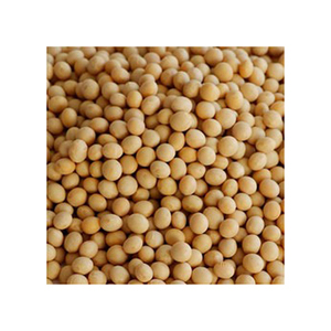 Soja Fresca de Alta Calidad, Sin OMG, Lista para Enviar, Cantidad a Granel, Producto Popular al por Mayor 2022 - Product Image 1