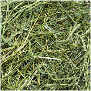 Heno de Timothy de Alta Calidad en Pellets y Pacas para Alimentación de Caballos, Cerdos y Peces - 500g - Product Image 5