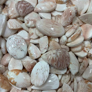 Natural <b>Pink</b> Scolecite Gemstone Cabochon Used For <b>Healing</b> Jewelry and Astrological Purposes In Affordable Price. - Product Image 1