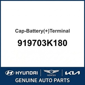 Batteries neuves Santa Fe 919703K180 - Product Image 1