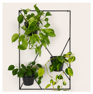 Modern Geometric <b>Wall</b> Mounted Plant Stand Black Metal Indoor for Plants Iron <b>Garden</b> Rack Decorative <b>Wall</b> <b>Planter</b> for Home - Product Image 1