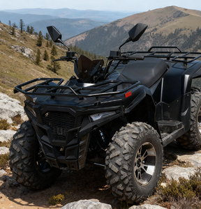 300cc Adult Gasoline ATV Automatic Transmission 4x2 Off-road <b>Quad</b> <b>Bike</b> Farm ATV Factory <b>Wholesale</b> Quadriciclo Cuatrimoto - Product Image 2